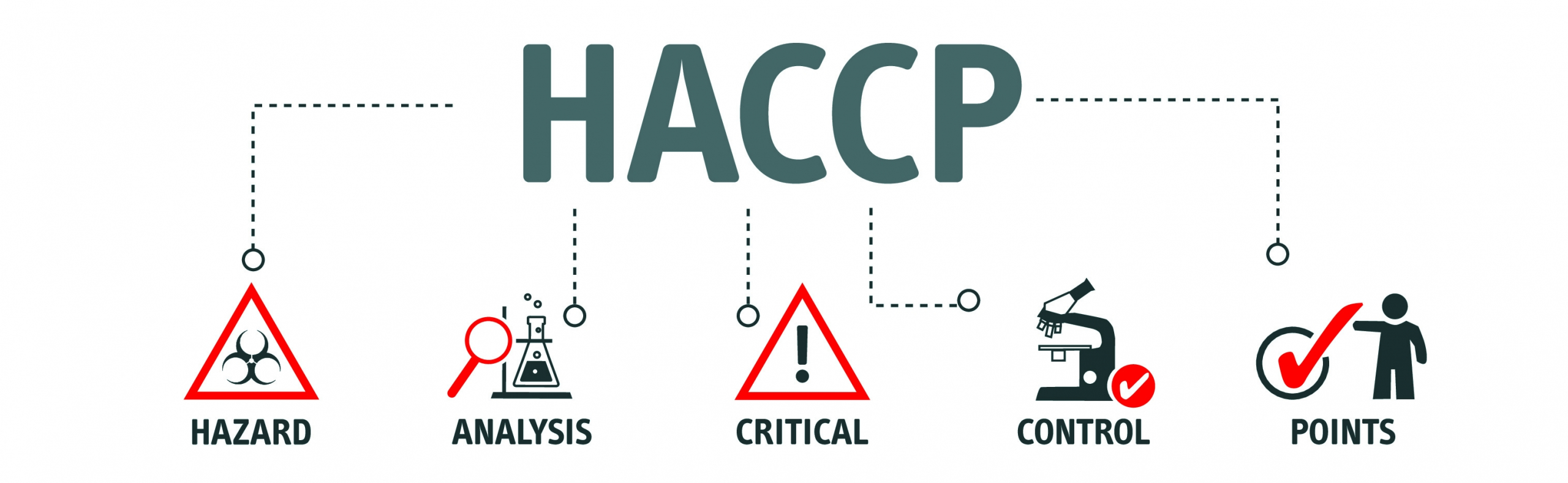 Wat Is De Betekenis Van Haccp Blog