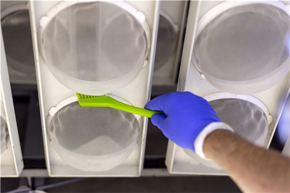 Vikan Hygiene precisieborstel extra harde vezels 4401